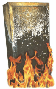 This is "Burnie" he survived a fire reaching temperatures of 1800 degrees